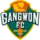 Gangwon FC Logo