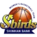 Incheon Shinhan Bank S-Birds