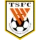 산둥 타이산 F.C. Logo