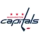 Washington Capitals Logo