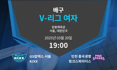 GS칼텍스 서울 KIXX VS 인천 흥국생명 핑크스파이더스 V-리그 여자 경기 분석 – 2025년 3월 20일