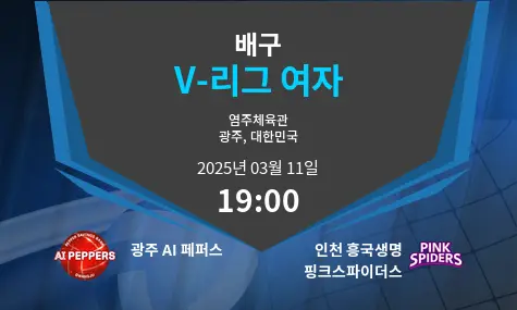광주 AI 페퍼스 VS 인천 흥국생명 핑크스파이더스 V-리그 여자 경기 분석 – 2025년 3월 11일