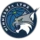 미네소타 링스 Logo