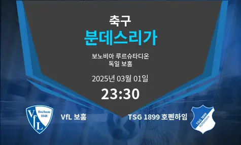 VfL 보훔 VS TSG 1899 호펜하임 분데스리가 경기 분석 – 2025년 3월 01일