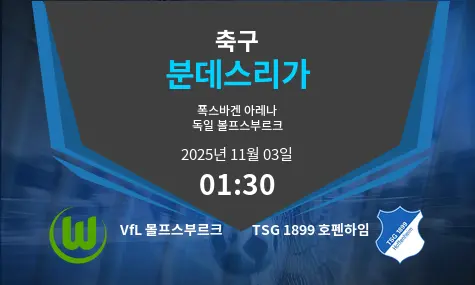 VfL 볼프스부르크 VS TSG 1899 호펜하임 Bundesliga 경기 분석 – 2025년 11월 3일